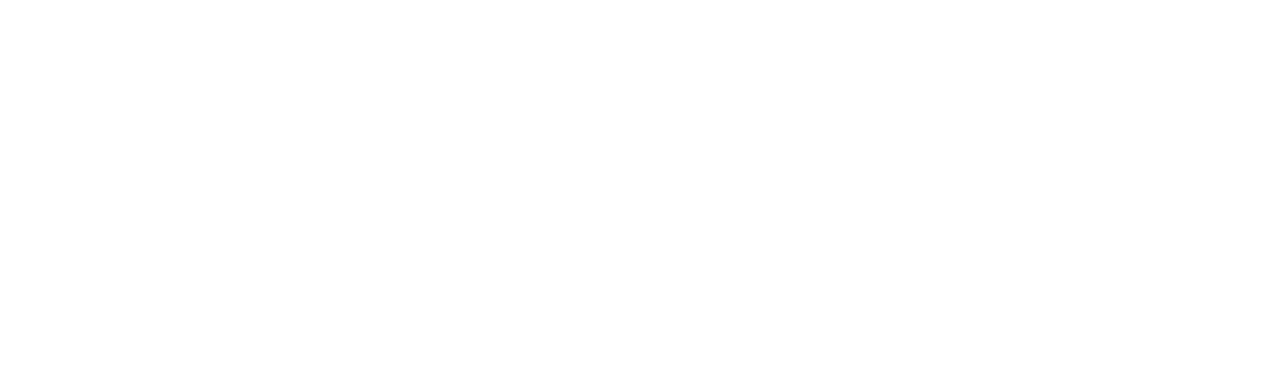 Aditi Nirvaan Logo
